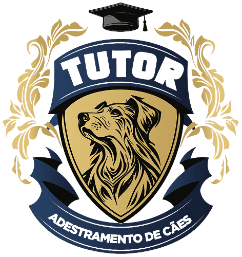 Tutor logo